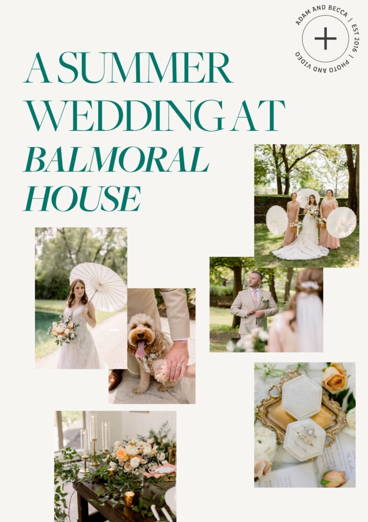 a summer wedding mood board with a bride, groom, their cockapoo flower girl, bridesmaids, and reception decor