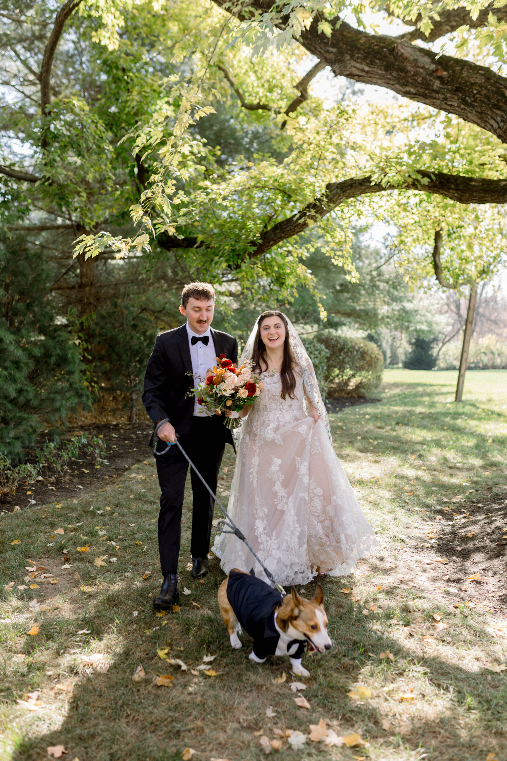 bride and groom walking at a fall wedding at mustard seed gardens with their corgi